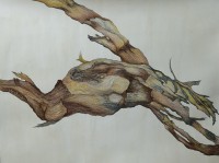 Kanwal Zaidi, 38 X 32, Mixed Media, Bodies of Wood, Stories of Us, AC-KNZ-001 Kanwal Zaidi, 38 X 32, Mixed Media, Bodies of Wood, Stories of Us, AC-KNZ-001